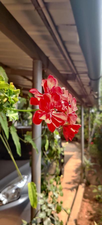 Westernghats Homestay Madikeri Εξωτερικό φωτογραφία